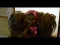 Sexy Jedi Bubblebath! Saber 2: Return of the Body Wash