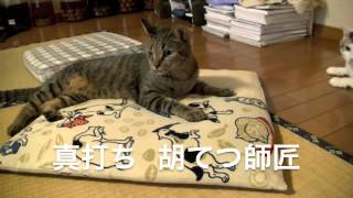 くるねこ大和　20130724　ごしごしチャンス