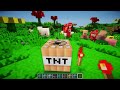 Minecraft: Too Much TNT Mod | 35 New TNTs!