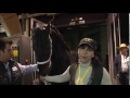 Caballos Frisones en Colombia - Criadero Santa Lucia