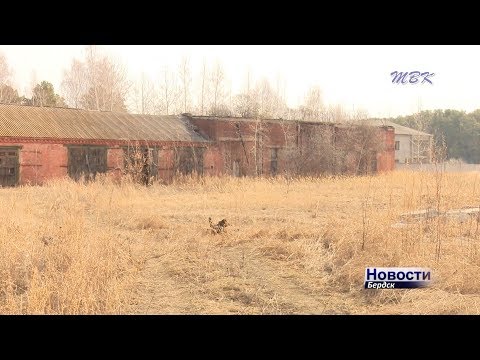 Почти 20 миллионов рублей составил профицит бюджета Бердска Почти 20 миллионов рублей составил профицит бюджета Бердска