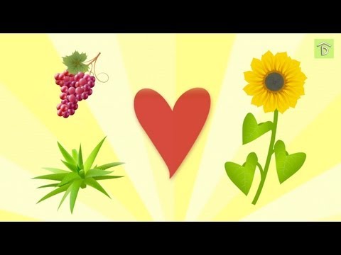 Thanksgiving Gardening Special: Plants that Give the Most!