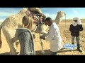 Les animaux de la 8 à DOUZ en 2012 pour le 12/12/12 à 12h12 !