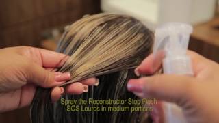 Step by Step - Stop Flash SOS Louros Professional Blowout