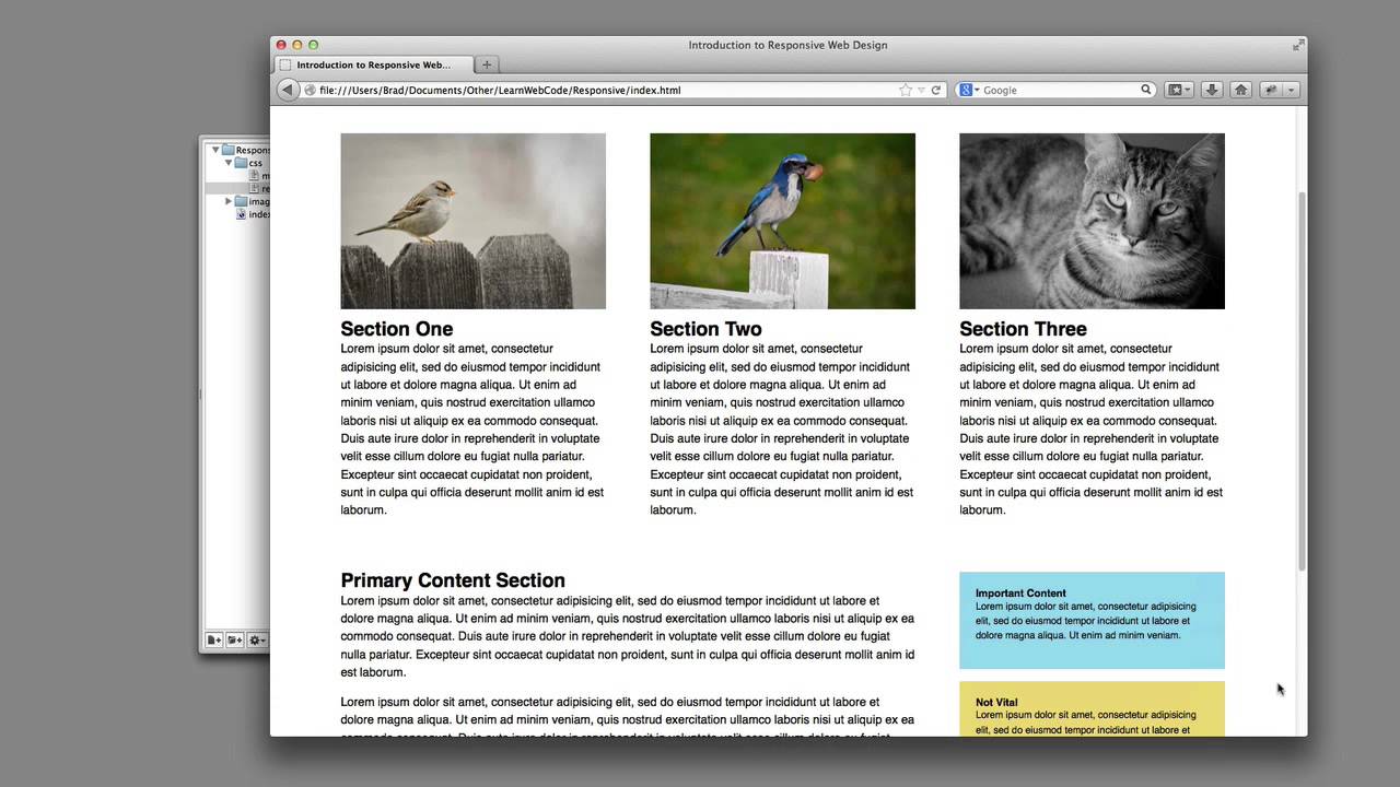 webdesign tutorial pdf