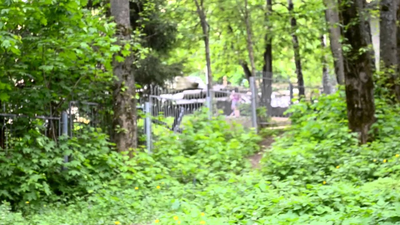 Городская клиническая больница ульяновска