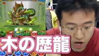 【パズドラ】木の歴龍 地獄級にロビン×クシナダヒメで激闘...!