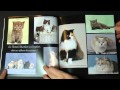 Livre photo des chats de race