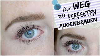 Perfekte AUGENBRAUEN - Eyebrow Routine