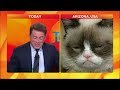Grumpy Cat VS Karl Stefanovic