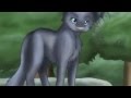 Warrior Cats theme song