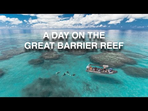 Great Barrier Reef From Drone 