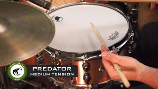 Predator Core Sounds Program thumbnail