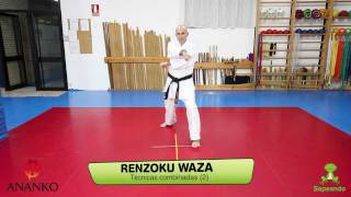 Renzoku Waza  - Karate-do 