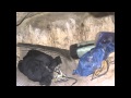 How to Sleep in a Condor Cave How to Sleep in a Condor Cave