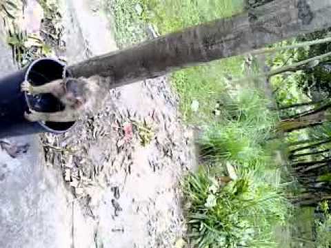 skodeng memey mandi.MP4 - YouTube