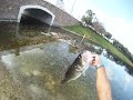 Bass Fishing Big Largemouth Bass in grass on a Jig