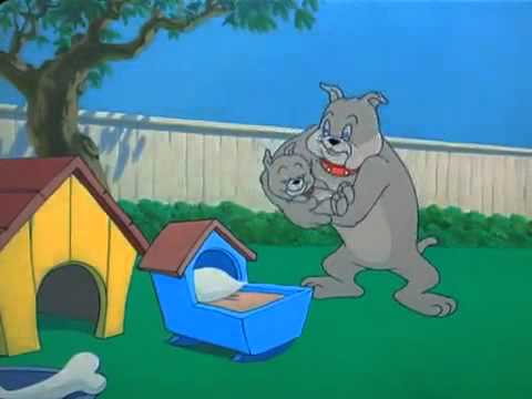 tom and jerry episodes 2011 tom and jerry episodes 2011