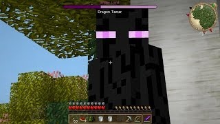 PLANETA VEGETTA: EL REY ENDERMAN #29