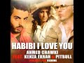 Chawki Feat. Kenza Farah & Pitbull - Habibi I Love You (Mon Amour I Love you)