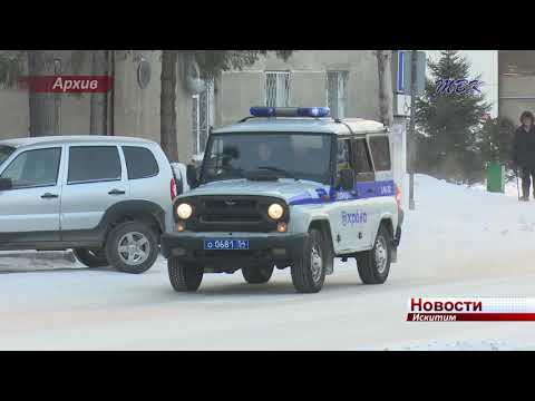 Найти и обезвредить: профессиональный праздник отмечают кинологи