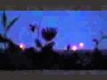UFOs making Crop Circle Proof ♡