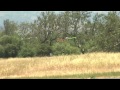 A big bunch of RC airplane crashes and a lot of slow motion replays