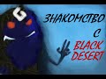Видео - "Знакомство с Black Desert"