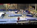 Great High Bar Skills!