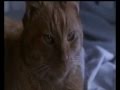 JONESY