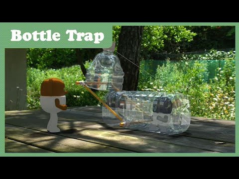Ep46_Bottle Trap | Space Jungle S2 | Funny Cartoon | Kids Cartoon | COAN Studio