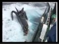 Sea Shepherd's Ady Gil attacked by Japanese Whaling Vessel