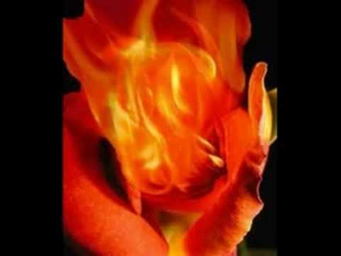 FOGATA DE AMOR MI VIDA RAZON DE VIVIR MI VIDA fogata de amor mi vida razon de vivir mi vida: