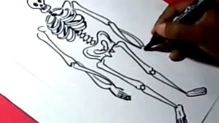 How to draw SKELETON DRAWING for kids step by step
