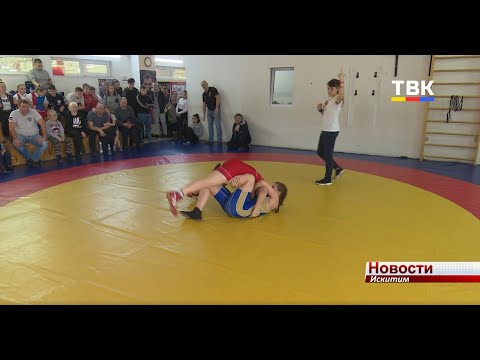 Впервые в Искитиме провели турнир по вольной борьбе среди девочек Впервые в Искитиме провели турнир по вольной борьбе среди девочек