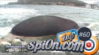 Le zap TV de Spi0n #60