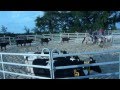Ranch sorting à Longhorn Ranch Surin