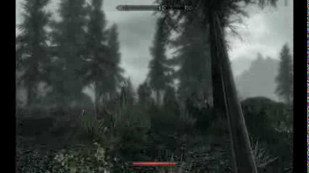 Skyrim on GT 630 (4GB) - C2D e4500 2,2 GHz - 6GB ddr2 - YouTube