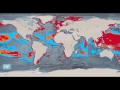 Global and European Fisheries Map
