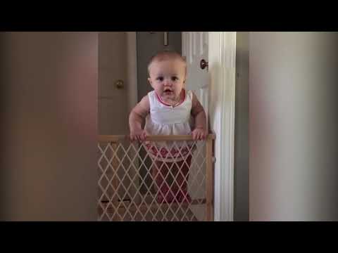 Top 10 Unbelieveable! Smart Babies Escape From Gate| Funny Babies and Pets