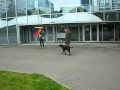 Chien réactif aux humains avec parapluie