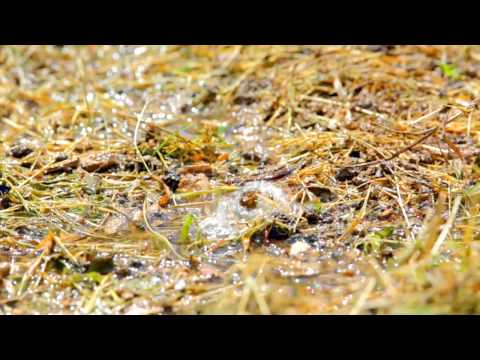 NGC TVC - How to detect gas leaks outdoors
