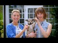 Blake Lively's Puff Pastry Recipe - Elettra's Goodness - Vogue
