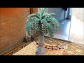 1 - Palmera - Origami 3D