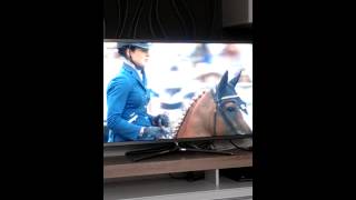 Katrin Eckermann, CHIO Aachen 2014 Unfall