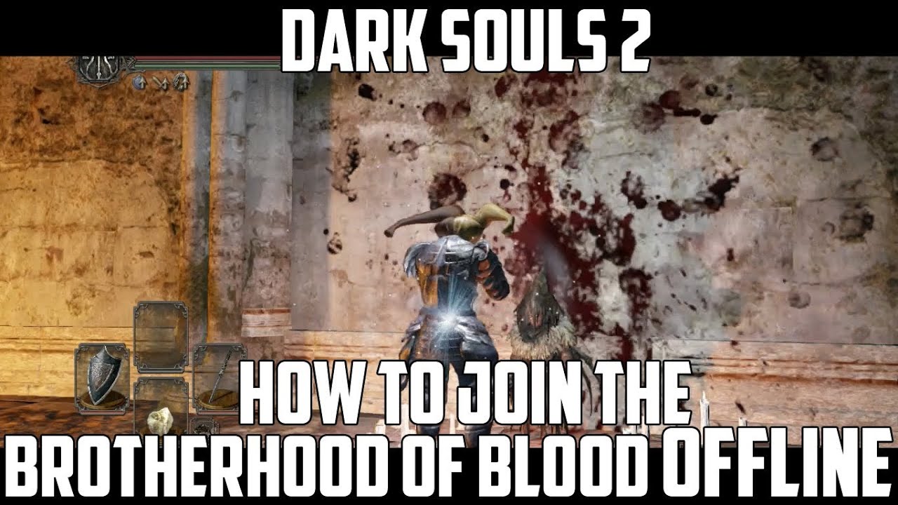 dark souls 2 brotherhood of blood