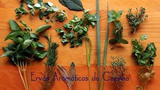 Conheça todas ervas aromáticas da cozinha