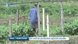 FAO : Hortivar, un outil de production agricole durable