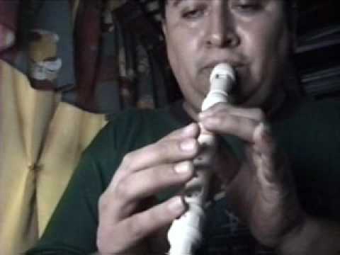 VIDEO MUSICALES AVI video musicales avi: