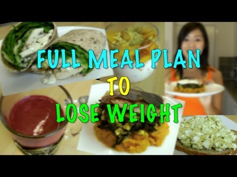 Full Meal Plan to Lose Weight - YouTube